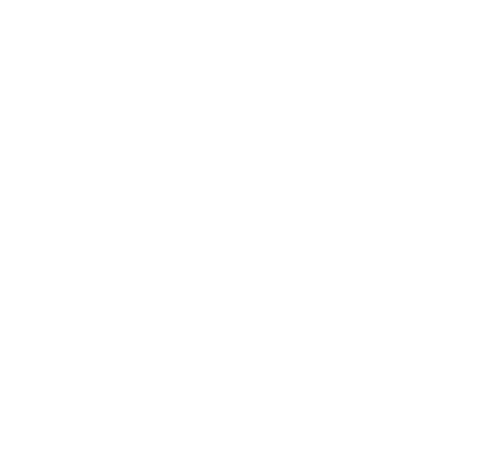 telephone-icon telephone